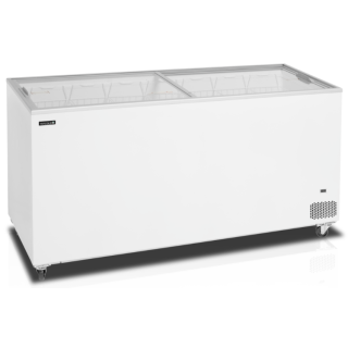 Tefcold glassfrys IC552SC