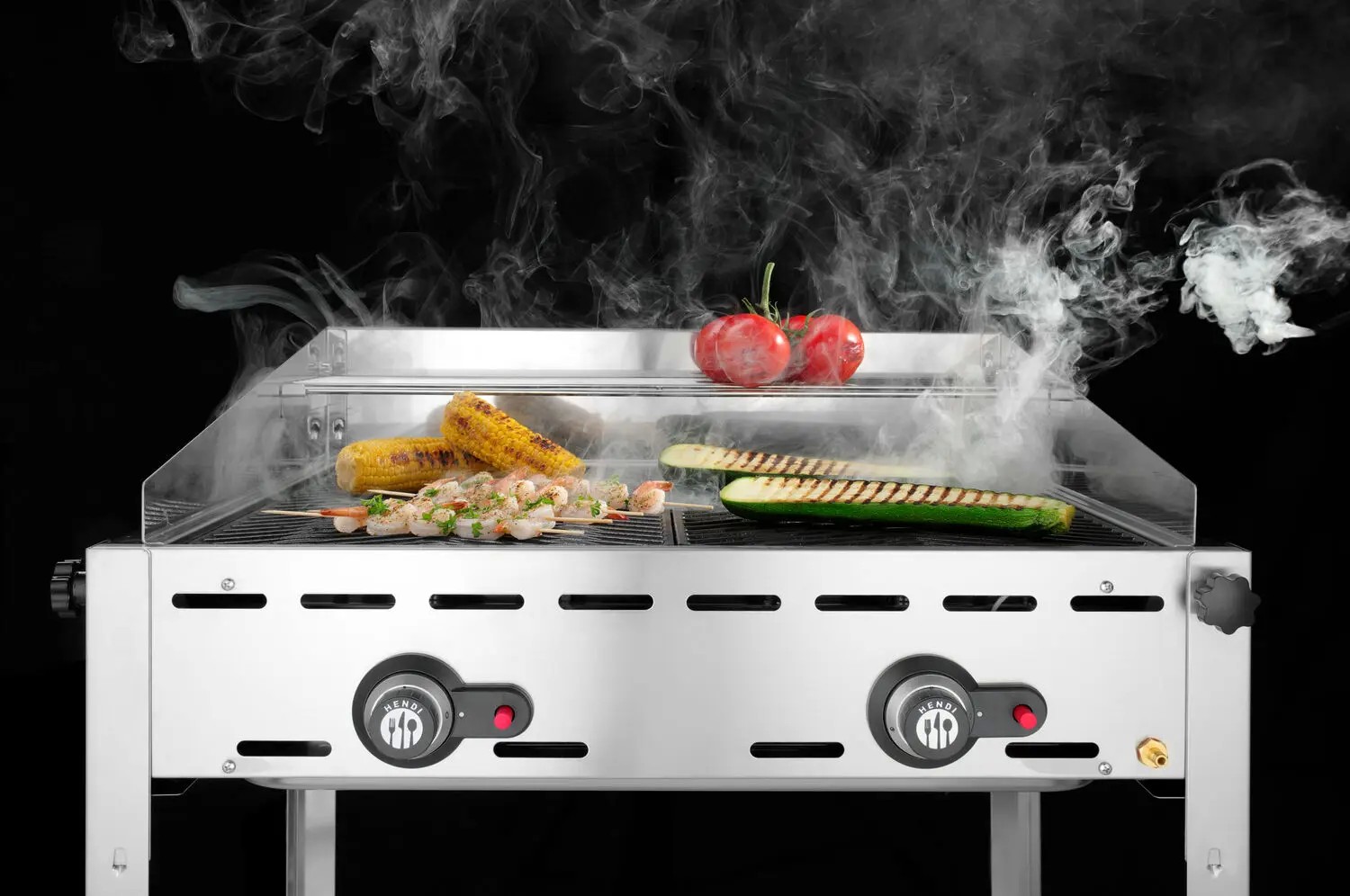 Hendi gasolgrill med 2 brännare Green Fire "Profi Line"