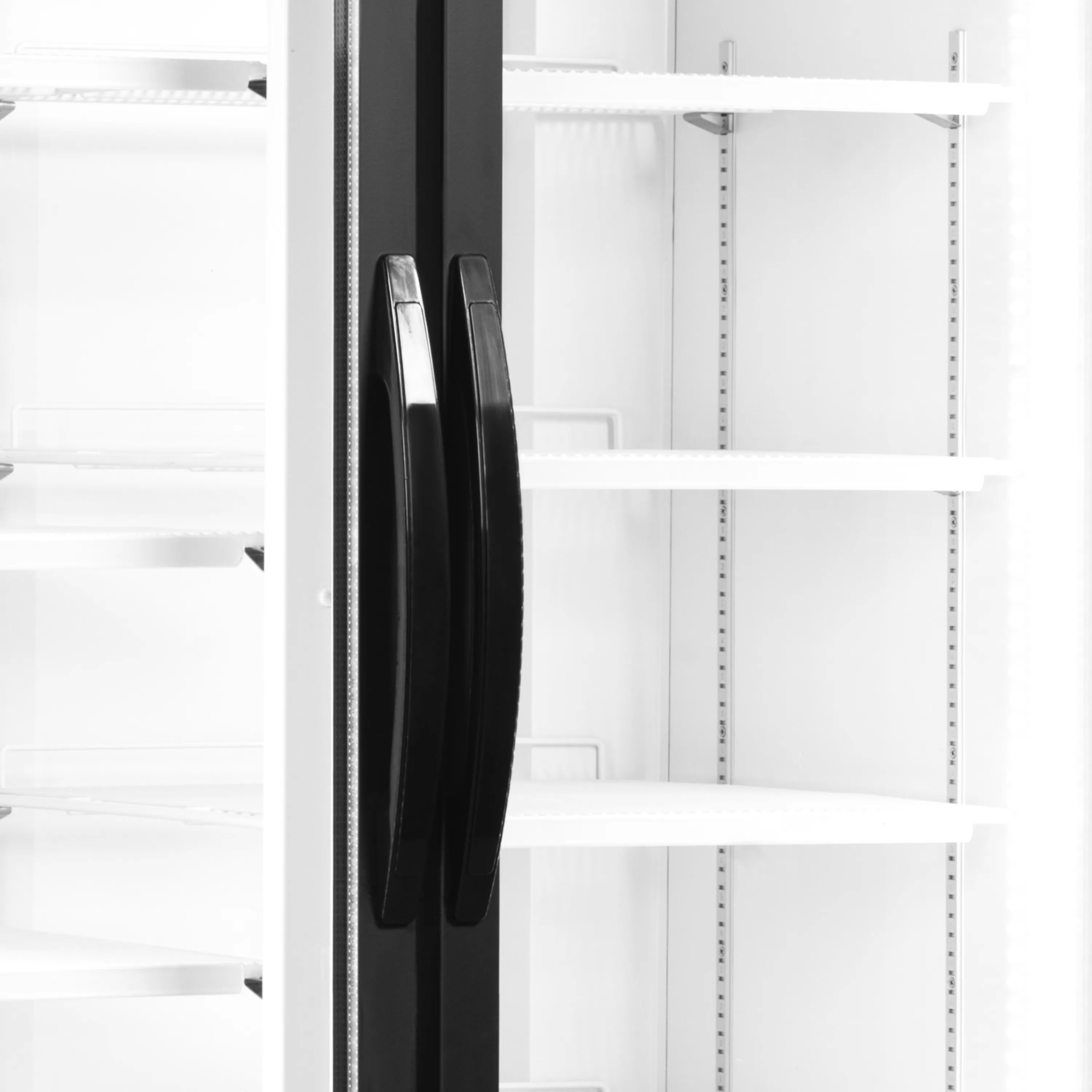 Tefcold dubbel displaykyl FS1202H