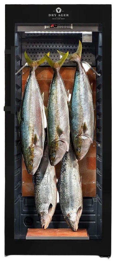 Dry ager-kylskåp – mognadsskåp DX 1000 Premium S