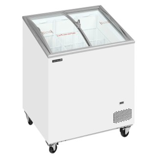 Tefcold glassfrys IC202SCEB