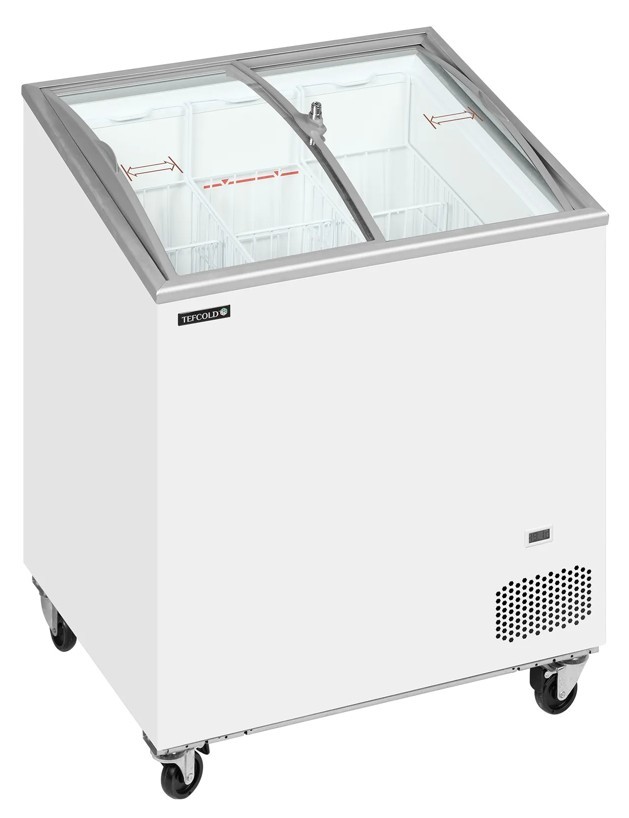 Tefcold glassfrys IC202SCEB
