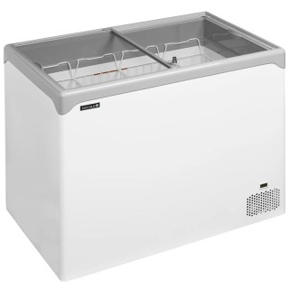 Tefcold glassfrys NIC302SC