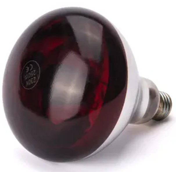 Hendi infraröd lampa